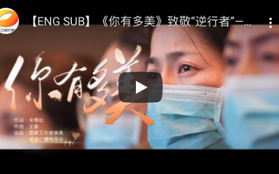 致敬逆行者《你有多美》英文字幕